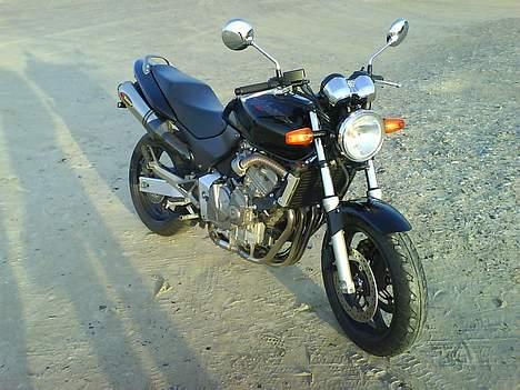 Honda CB 600F Hornet - Billede taget i Blokhus - Ser lidt sjovt ud... billede 3