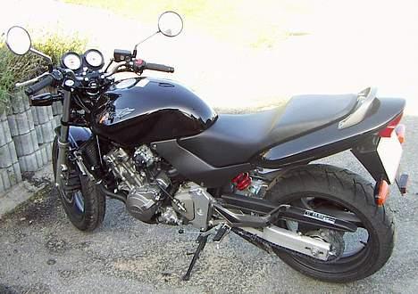 Honda CB 600F Hornet - Billede inden den blev lavet om. Læg mærke til mærket på tanken... billede 4