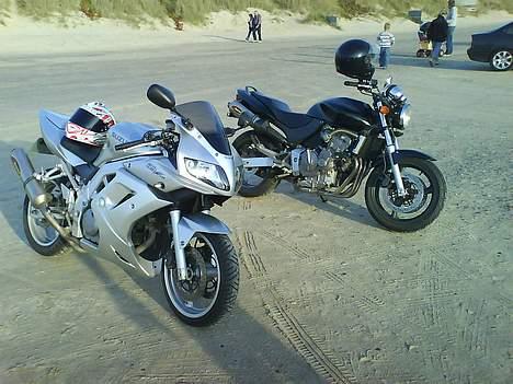 Honda CB 600F Hornet - Billede taget i Blokhus - SV vs Hornet billede 5