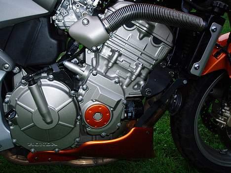 Honda Hornet billede 2