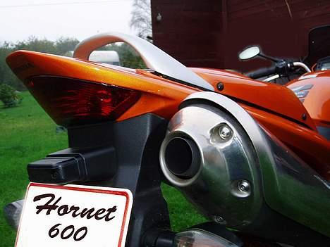 Honda Hornet billede 4