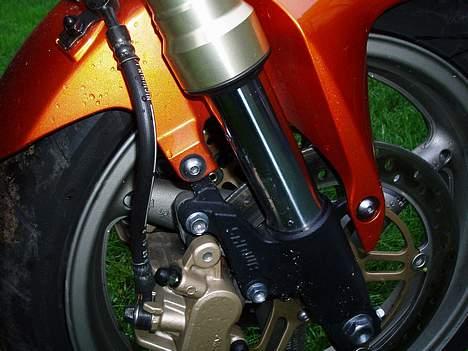 Honda Hornet billede 5