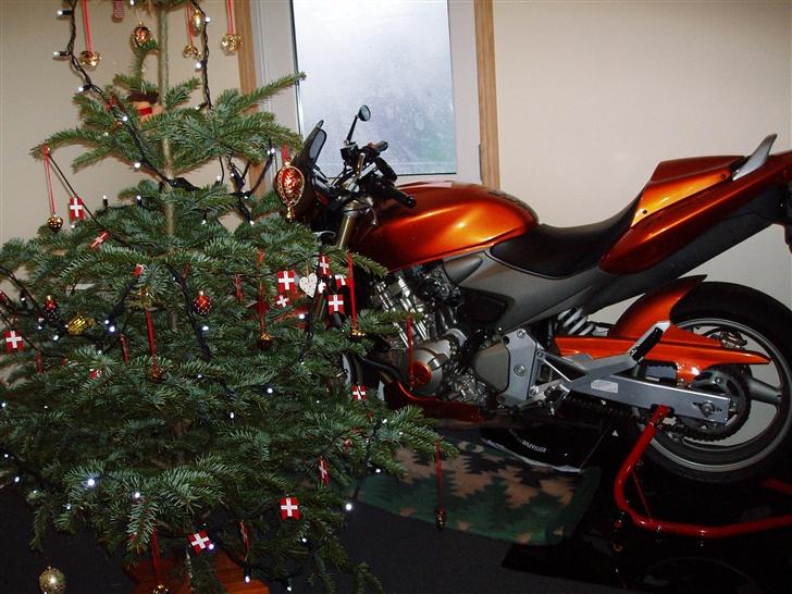 Honda Hornet - Vinteropbevaring i stuen - mindre kan ikke gøre det ; ) billede 6