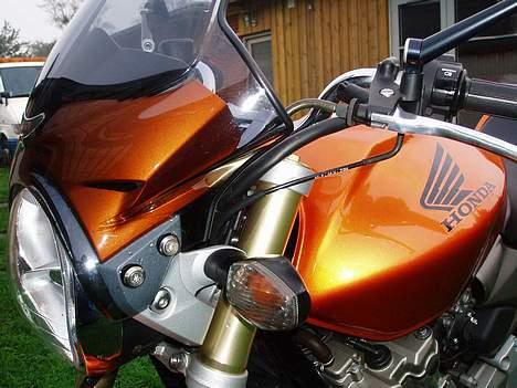 Honda Hornet billede 7
