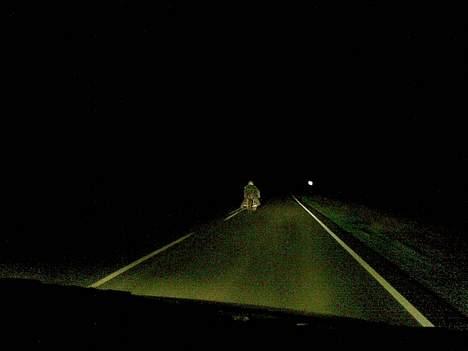 Honda CB 900 Bol'dor F2 (SOLGT) billede 15