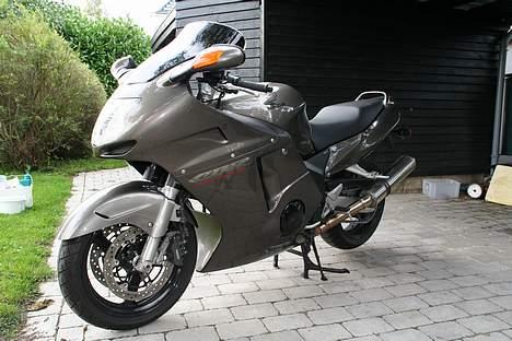 Honda CBR1100XX Super Blackbird - MC lige kommet hjem billede 2