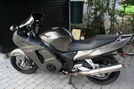 Honda CBR1100XX Super Blackbird - MC lige kommet hjem billede 3