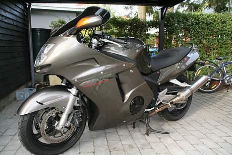Honda CBR1100XX Super Blackbird - MC lige kommet hjem billede 5