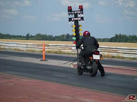 Honda Hornet 600 - Klar, parat start.. Til RaceX billede 4