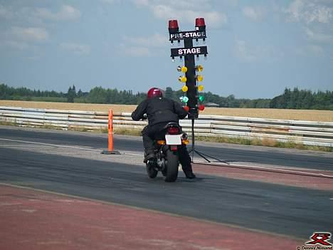 Honda Hornet 600 - Klar, parat start.. Til RaceX billede 5