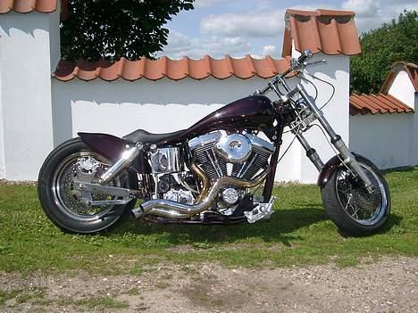 Harley Davidson Svingstel billede 2