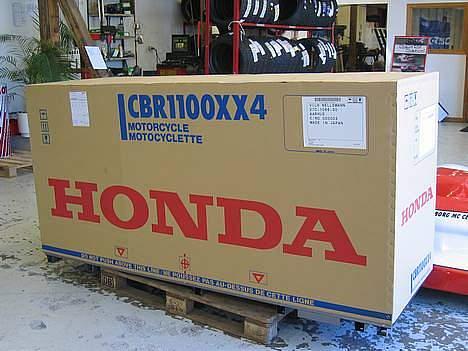 Honda CBR1100xx SuperBlackbird - Nyt legetøj! billede 4