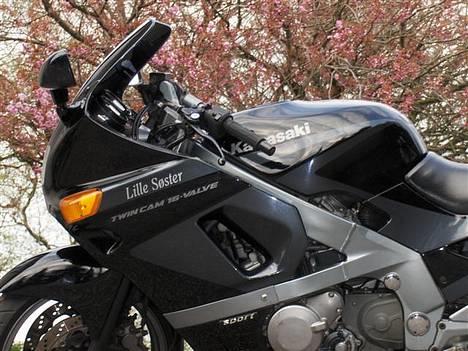 Kawasaki zzr 600 billede 9
