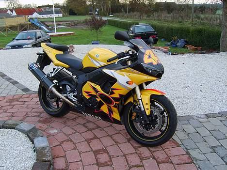 Yamaha yzf r6 rossi  billede 2