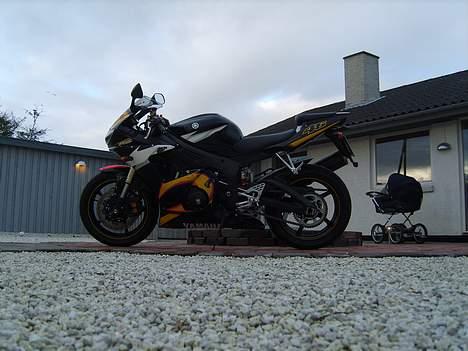 Yamaha yzf r6 rossi  billede 7