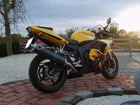 Yamaha yzf r6 rossi  billede 10