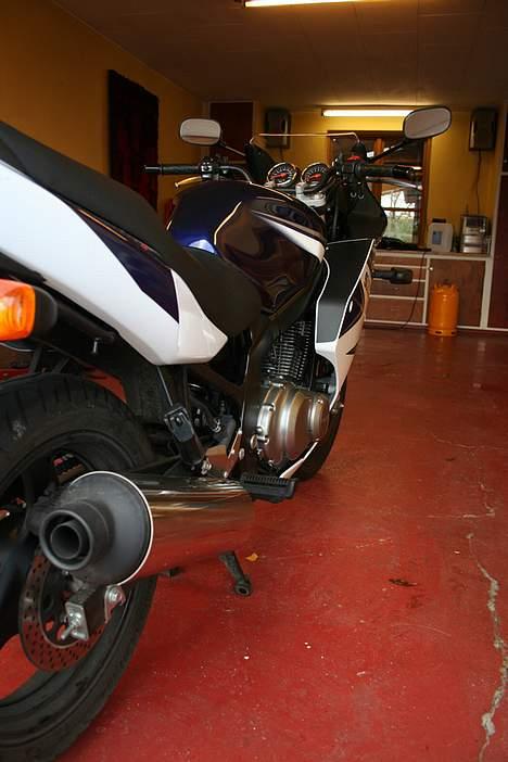 Suzuki GS500F *Solgt* billede 4