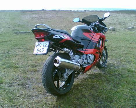 Honda CBR 600 F3  - første tur i 07 billede 1