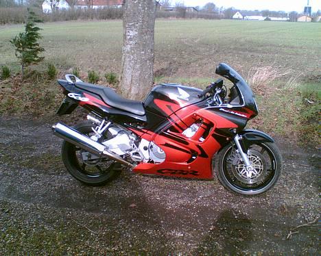 Honda CBR 600 F3  billede 2