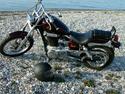 Suzuki LS 650 (solgt)
