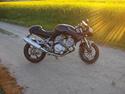 Voxan Café Racer