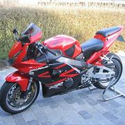 Honda fireblade SOLGT