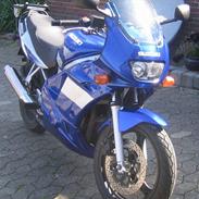 Suzuki GS 500 F (SOLGT)