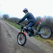Gas Gas 280 txt pro