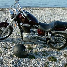 Suzuki LS 650 (solgt)