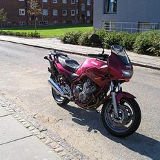 Yamaha XJ600S 1998 *SOLGT*