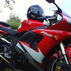 Yamaha R6 SOLGT