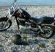 Suzuki LS 650 (solgt)