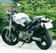 Ducati Monster 800 i.e.