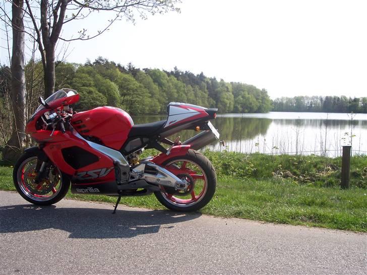 Aprilia RSV Mille - Den står sig godt til grøn... billede 7