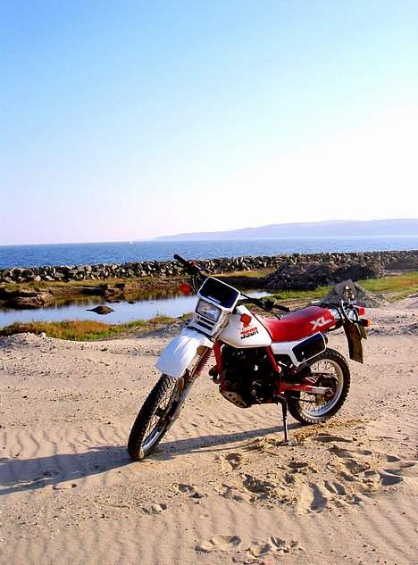 Honda XL 350 R *solgt* billede 18