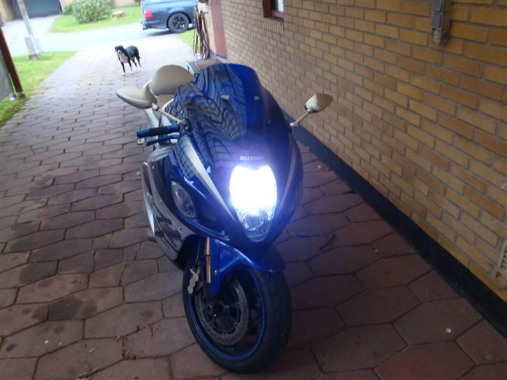 Suzuki Hayabusa (Brutalis) billede 14