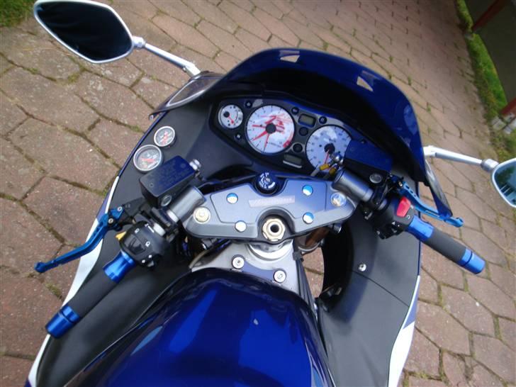 Suzuki Hayabusa (Brutalis) billede 15