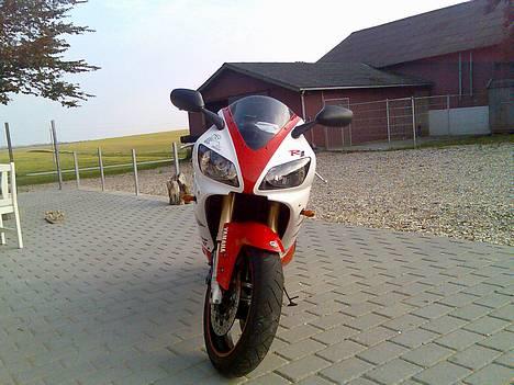 Yamaha yzf r1 billede 2