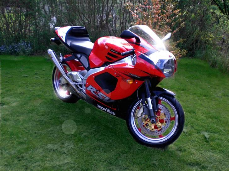 Aprilia RSV Mille - Aprilia racing billede 9