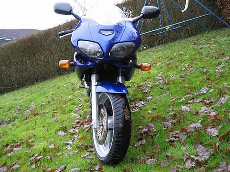 Suzuki SV 650 S billede 3