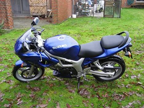 Suzuki SV 650 S billede 4