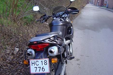 Aprilia Pegaso 650 *solgt* - Dobbelt oplagte potter billede 5