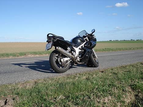 Suzuki sv 650s *solgt* billede 15