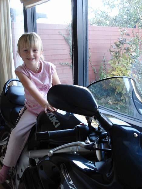 Suzuki sv 650s *solgt* - Datteren...som nu er liiidt mere tryg ved det billede 16