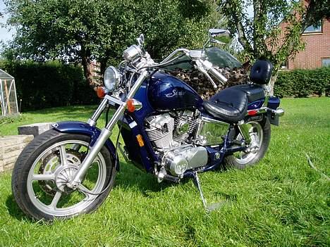 Honda VT 1100 Shadow billede 2