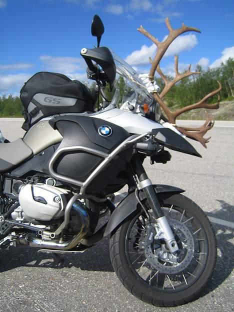BMW R 1200 GS Adventure - Rensdyr med elektronisk benzin indsprøjtning billede 10
