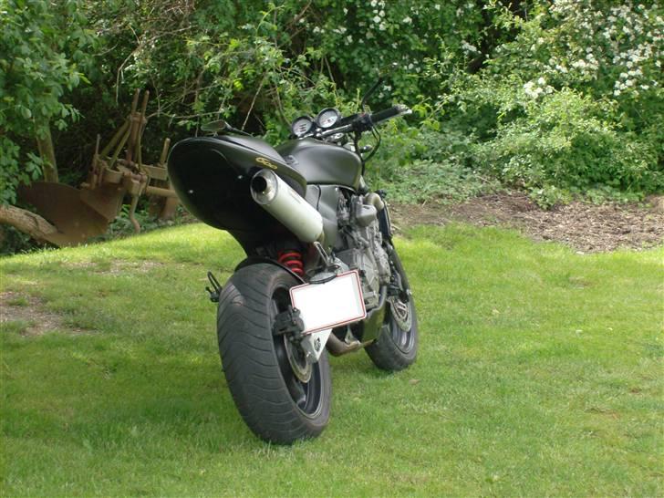 Honda Hornet Fighter (solgt) billede 2