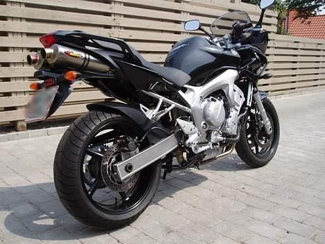 Yamaha fz6-s billede 5