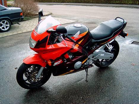 Honda Cbr 600 F3 billede 4