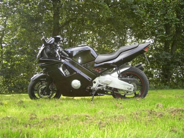 Honda CBR600 F2 billede 6